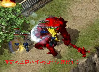 �����ѩɭ��������ο����ҵ���