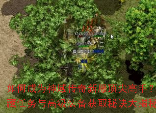 ��γ�Ϊ�������·�������֣�����������߼�װ����ȡ�ؾ������