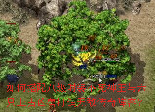 ��δ���˼�ʱװ������������ֻ�Ϲ����޴����޵д������ݣ�