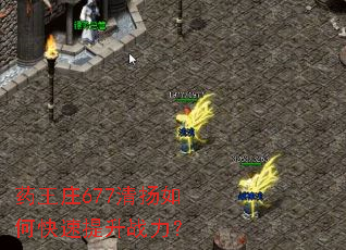 ҩ��ׯ677������ο�������ս����