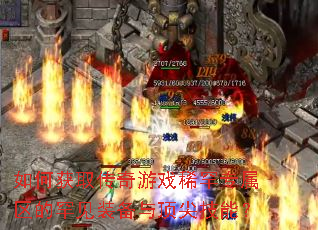 ��λ�ȡ������Ϸϡ��ר�����ĺ���װ���붥�⼼�ܣ�