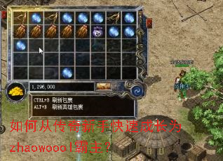 ��δӴ������ֿ��ٳɳ�Ϊzhaowoool������