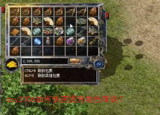 dzy2306如何快速提升角色等级? dzy2306如何快速提升角色等级?