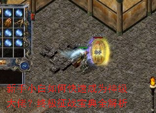 新手小白如何快速成为神级大佬?终极征战宝典全解析 新手小白如何快速成为神级大佬?终极征战宝典全解析