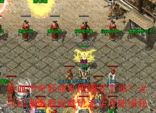 热血传奇新服如何蜕变官服?老兵回潮逐鹿巅峰玩法全攻略揭秘 热血传奇新服如何蜕变官服?老兵回潮逐鹿巅峰玩法全攻略揭秘