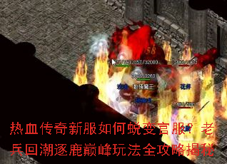 热血传奇新服如何蜕变官服?老兵回潮逐鹿巅峰玩法全攻略揭秘 热血传奇新服如何蜕变官服?老兵回潮逐鹿巅峰玩法全攻略揭秘