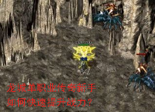 龙城单职业传奇新手如何快速提升战力? 龙城单职业传奇新手如何快速提升战力?