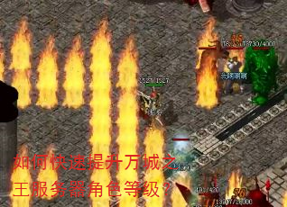 如何快速提升万城之王服务器角色等级? 如何快速提升万城之王服务器角色等级?