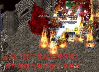 ���������������λ�ȡ�����Լӳ���ʵս����ȫ����