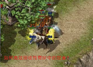 如何高效回收传奇SF中的现金? 如何高效回收传奇SF中的现金?