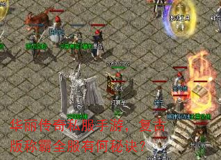 华丽传奇私服手游,复古版称霸全服有何秘诀? 华丽传奇私服手游,复古版称霸全服有何秘诀?