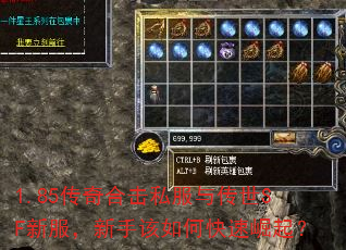 1.85传奇合击私服与传世SF新服,新手该如何快速崛起? 1.85传奇合击私服与传世SF新服,新手该如何快速崛起?