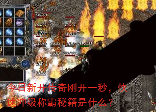 今日新开传奇刚开一秒,快速冲级称霸秘籍是什么? 今日新开传奇刚开一秒,快速冲级称霸秘籍是什么?