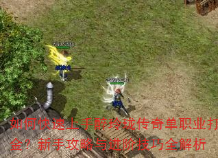如何快速上手醉玲珑传奇单职业打金?新手攻略与进阶技巧全解析 如何快速上手醉玲珑传奇单职业打金?新手攻略与进阶技巧全解析