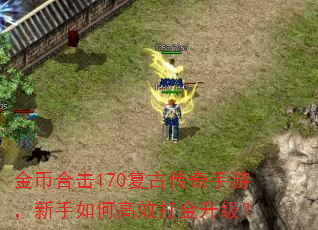 金币合击170复古传奇手游,新手如何高效打金升级? 金币合击170复古传奇手游,新手如何高效打金升级?