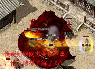 传奇新服网微变那些事,你真的都了解了吗? 传奇新服网微变那些事,你真的都了解了吗?
