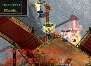 传奇羽翼每级升级需多少羽毛?完整攻略解析 传奇羽翼每级升级需多少羽毛?完整攻略解析