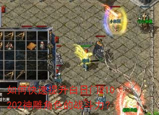 如何快速提升白日门210202神雕角色的战斗力? 如何快速提升白日门210202神雕角色的战斗力?