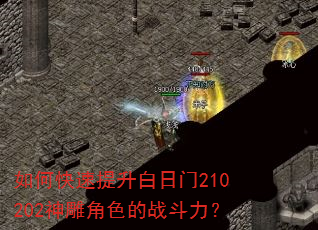 如何快速提升白日门210202神雕角色的战斗力? 如何快速提升白日门210202神雕角色的战斗力?
