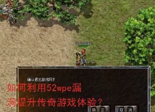 �������52wpe©������������Ϸ���飿