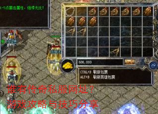谁有传奇私服网址?游戏攻略与技巧分享 谁有传奇私服网址?游戏攻略与技巧分享