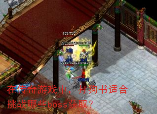 �ڴ�����Ϸ�У������ʺ���ս��Щboss��ȡ��