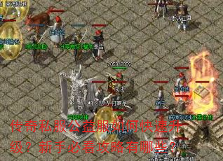 传奇私服公益服如何快速升级?新手必看攻略有哪些? 传奇私服公益服如何快速升级?新手必看攻略有哪些?