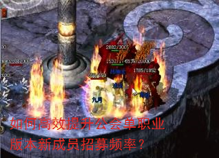 如何高效提升公会单职业版本新成员招募频率? 如何高效提升公会单职业版本新成员招募频率?