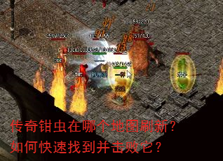 传奇钳虫在哪个地图刷新?如何快速找到并击败它? 传奇钳虫在哪个地图刷新?如何快速找到并击败它?