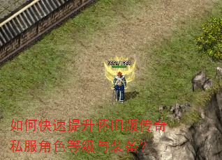如何快速提升怀旧版传奇私服角色等级与装备? 如何快速提升怀旧版传奇私服角色等级与装备?