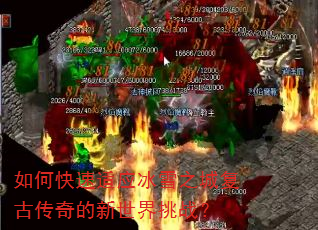 ��ο�����Ӧ��ѩ֮�Ǹ��Ŵ������������ս��