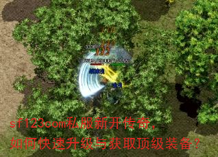 sf123com私服新开传奇,如何快速升级与获取顶级装备? sf123com私服新开传奇,如何快速升级与获取顶级装备?