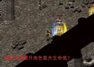 如何快速提升角色最大生命值? 如何快速提升角色最大生命值?