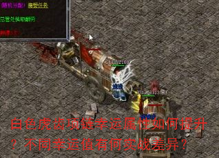 白色虎齿项链幸运属性如何提升?不同幸运值有何实战差异? 白色虎齿项链幸运属性如何提升?不同幸运值有何实战差异?