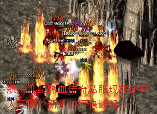 航海世纪热血传奇私服现在还有人玩吗?新手如何快速起步? 航海世纪热血传奇私服现在还有人玩吗?新手如何快速起步?