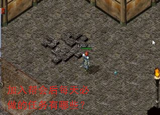 加入帮会后每天必做的任务有哪些? 加入帮会后每天必做的任务有哪些?