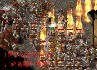 1区玩家初探宝库,必备哪些神技? 1区玩家初探宝库,必备哪些神技?