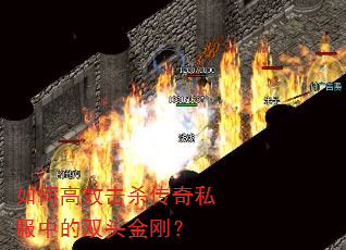 如何高效击杀传奇私服中的双头金刚? 如何高效击杀传奇私服中的双头金刚?