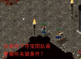 组建地下寻宝团队需要哪些关键条件? 组建地下寻宝团队需要哪些关键条件?