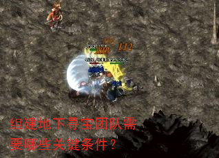 组建地下寻宝团队需要哪些关键条件? 组建地下寻宝团队需要哪些关键条件?