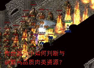 传奇游戏中如何判断与获取高品质肉类资源? 传奇游戏中如何判断与获取高品质肉类资源?