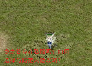 龙之谷存在私服吗?如何选择与防范风险攻略? 龙之谷存在私服吗?如何选择与防范风险攻略?
