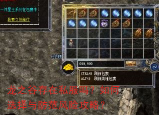 龙之谷存在私服吗?如何选择与防范风险攻略? 龙之谷存在私服吗?如何选择与防范风险攻略?