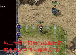 ��Ѫ���滳�ɰ�����Ѫ���棬�ĸ��汾���ʺ��������ţ�