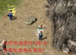 如何快速提升12职业传奇私服角色等级? 如何快速提升12职业传奇私服角色等级?