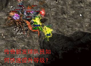 传奇新发球队员如何快速提升等级? 传奇新发球队员如何快速提升等级?