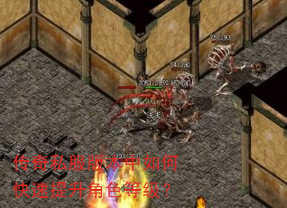 传奇私服版本中如何快速提升角色等级? 传奇私服版本中如何快速提升角色等级?