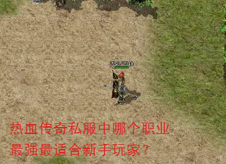 ��Ѫ����˽�����ĸ�ְҵ��ǿ���ʺ�������ң�