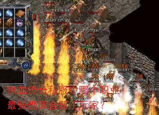 ��Ѫ����˽�����ĸ�ְҵ��ǿ���ʺ�������ң�