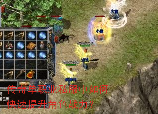 ���浥ְҵ˽������ο���������ɫս����